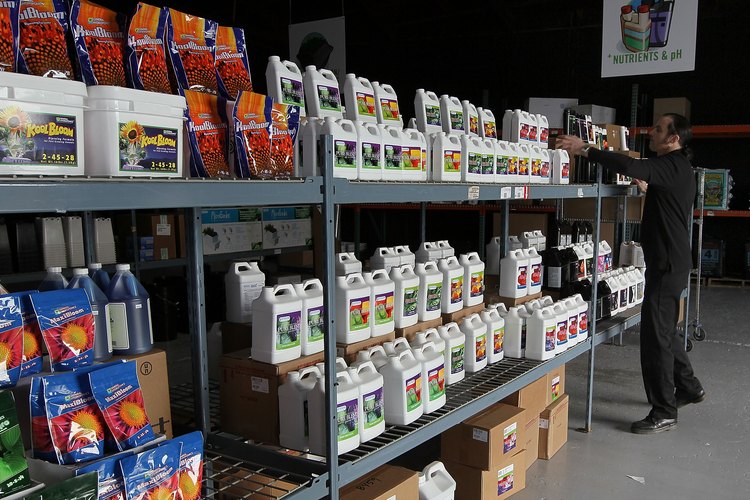 Los fertilizantes líquidos pueden venir listos para usar o en forma concentrada.