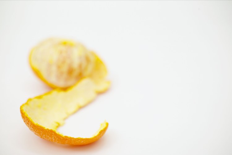 Las cáscaras de naranja tienen un olor cítrico más fuerte cuando están frescas.