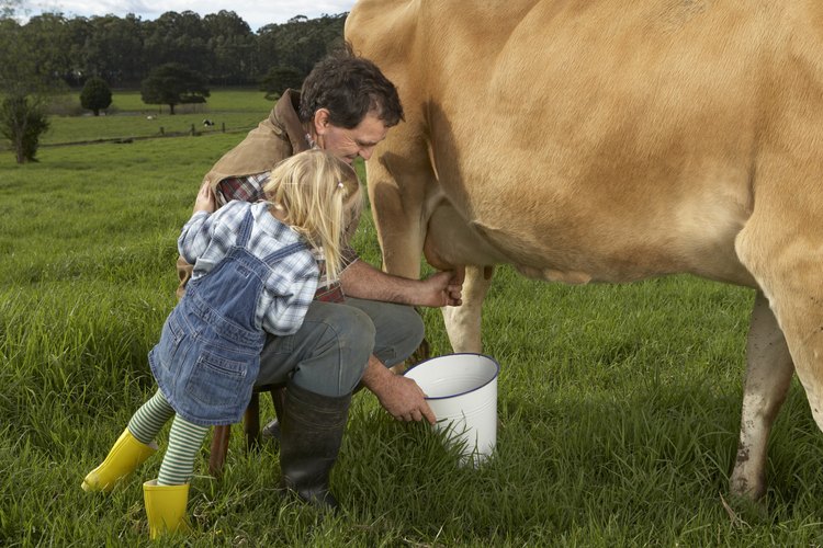 No se puede extraer leche sólo por apretar la tetilla.