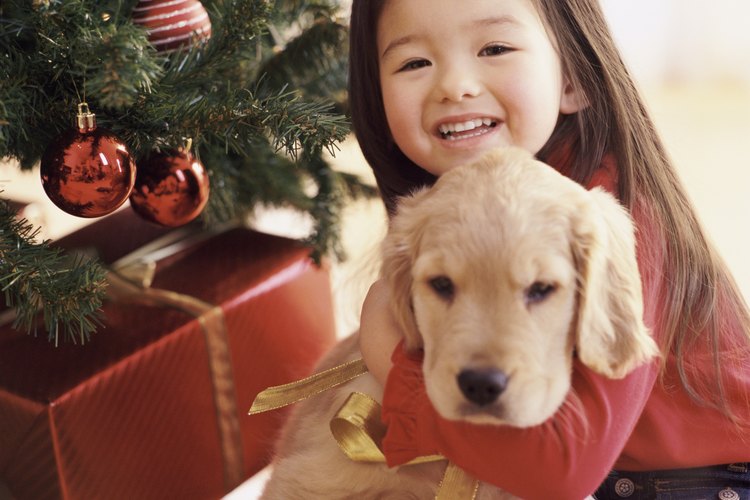 Un cachorro debajo del árbol de Navidad.