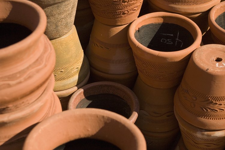 Elige una maceta de arcilla para tu orquídea.