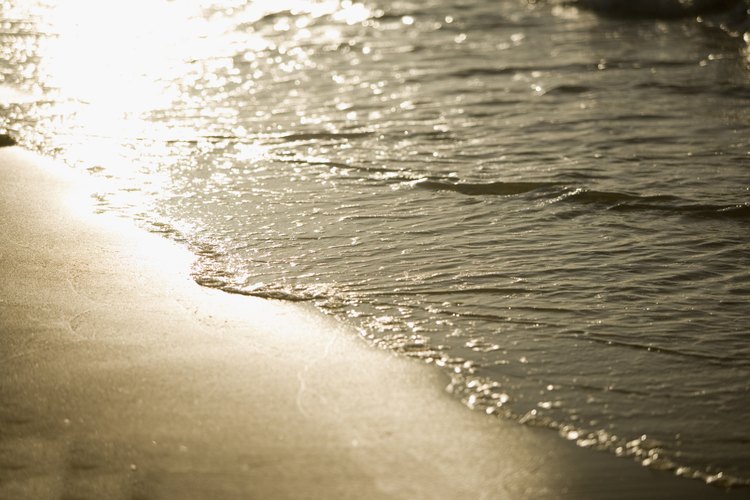 San Diego tiene algunas de las aguas costeras más cálidas de los Estados Unidos.