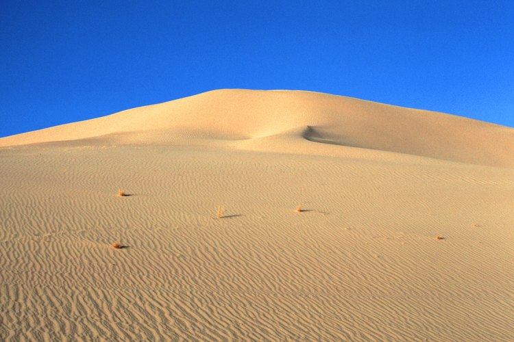 La erosión del viento transporta las partículas para crear dunas de arena.