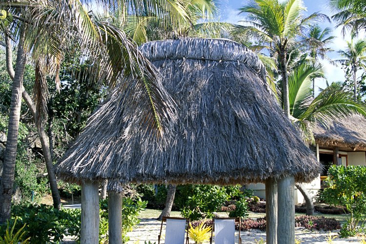 La palapa te mantiene fresco en los tibios días soleados.