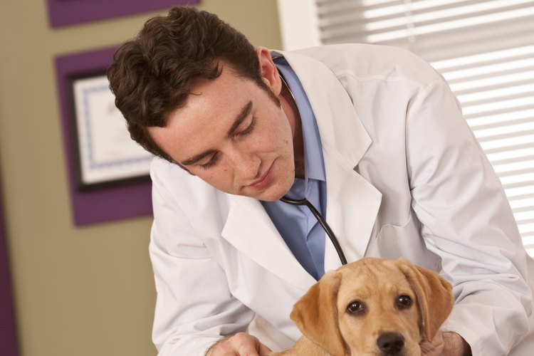 Las revisiones médicas no son divertidas.