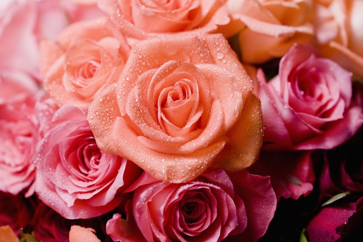 Las flores son ideales para decorar espacios.