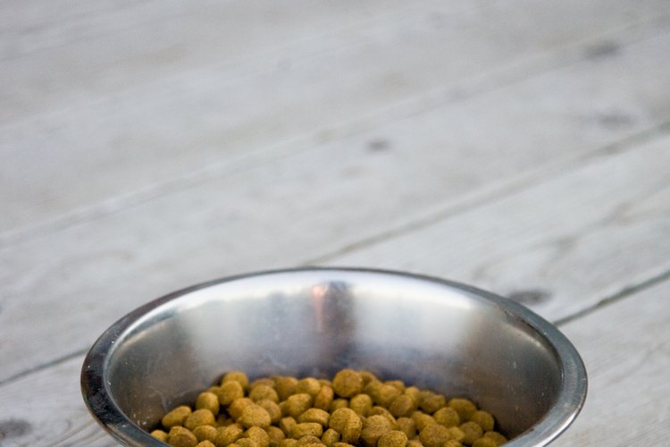 Casi todos los los alimentos para mascotas contienen cenizas.