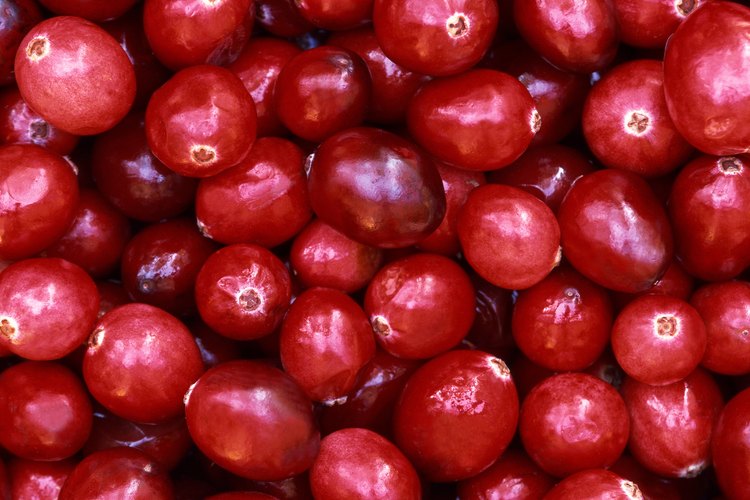 Los bebés más grandes pueden consumir una cantidad limitada de jugo de arándanos.