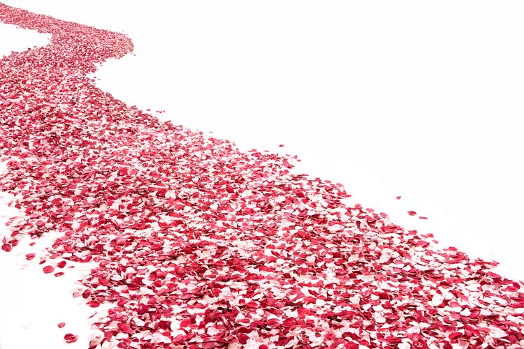 Los pétalos de rosas pueden ser preservados por meses liofilizándolos.