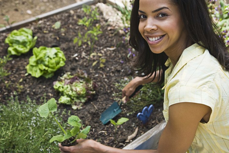 Jardinería.
