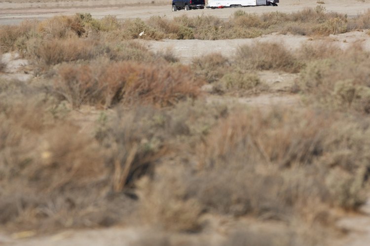 Disfruta de acampar en el cálido desierto de Blythe.
