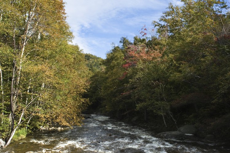 Adirondacks cuenta con miles de millas de cursos de agua.