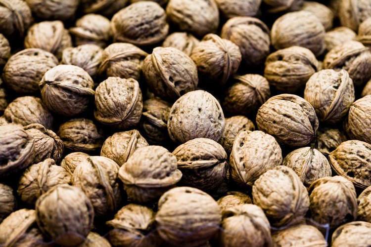 Las nueces son fáciles de crecer pero difíciles para germinar.