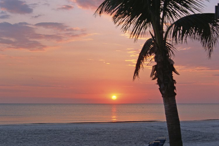 Disfruta de casi tres millas de playas y puestas de sol impresionantes en Indian Rocks Beach.