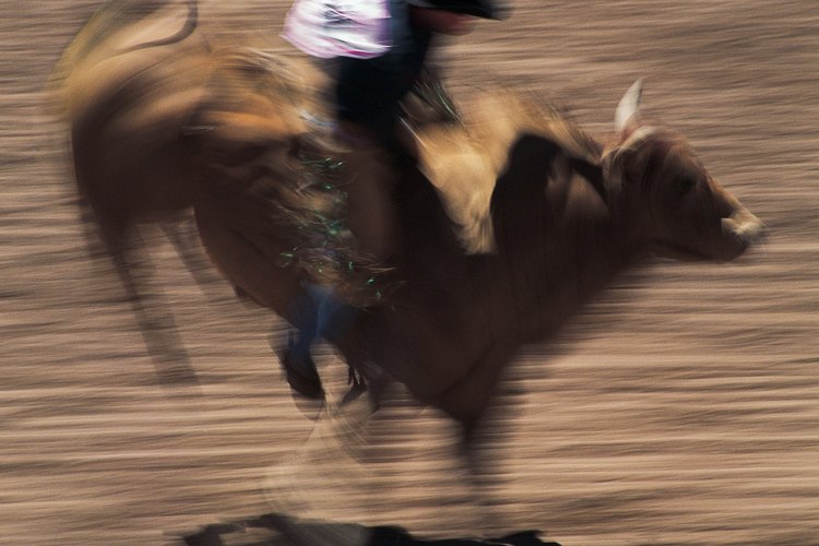 Montar toros como profesión es muy riesgoso.