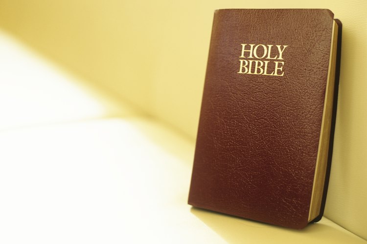En la teología cristiana, la Biblia es considerada un ejemplo de revelación especial, considerando que la naturaleza es un ejemplo de revelación general.