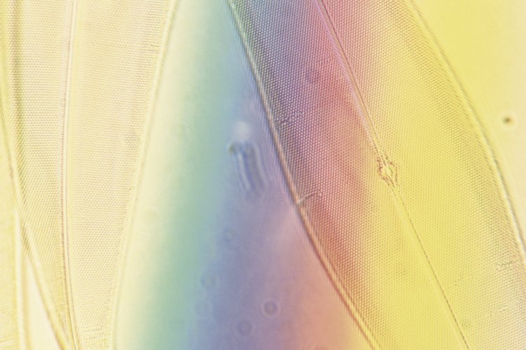 Los colores pastel van bien con acabados de madera oscura como el cereza.