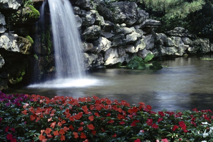 Las cascadas crean puntos focales en tu patio trasero.