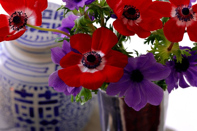 Haz flores que ya tienen varias semanas verse como recién cortadas cambiando el agua cada dos días.