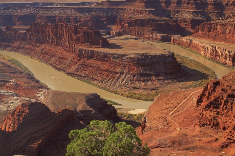 Dead Horse Point ofrece vistas del Río Colorado serpenteando entre los cañones.