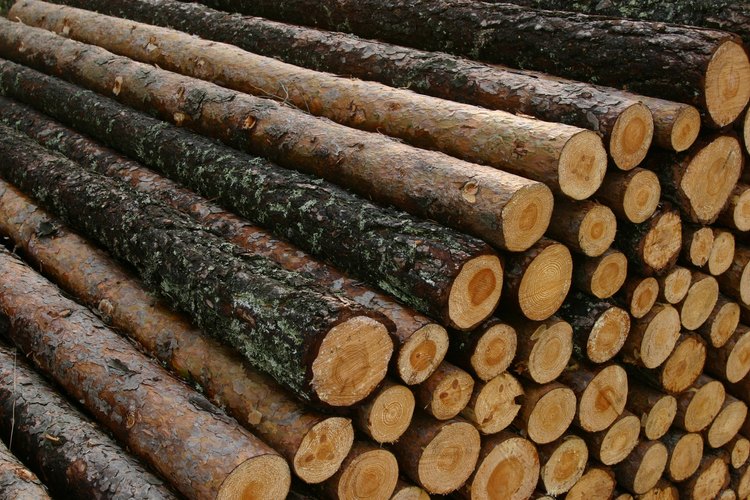 Construye una cama rústica y resistente con troncos.