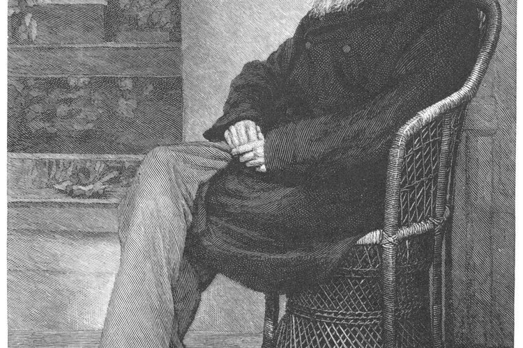 Darwin fue el primero en formar completamente la idea de la evolución del organismo.