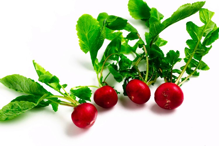 Los rábanos son verduras de crecimiento rápido.