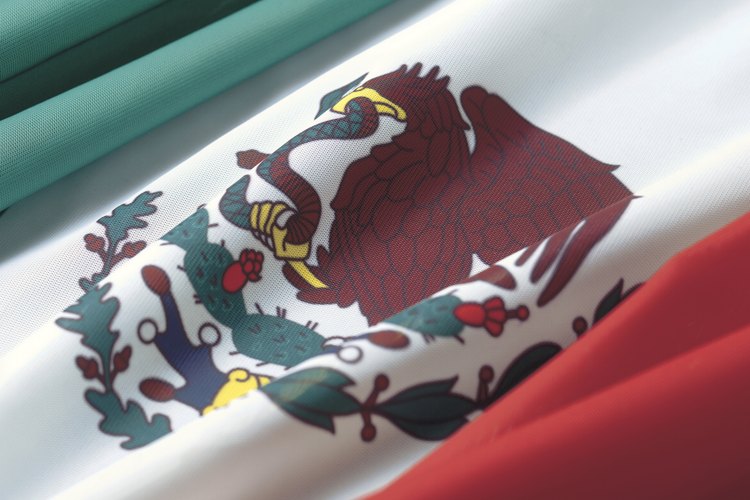 Conoce las leyes mexicanas.