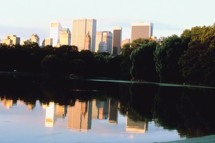 Central Park es el lugar ideal para una boda inolvidable.