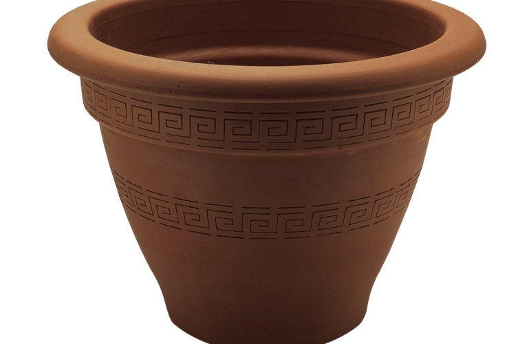 Las macetas de terracota se deben curar antes de usarlas.