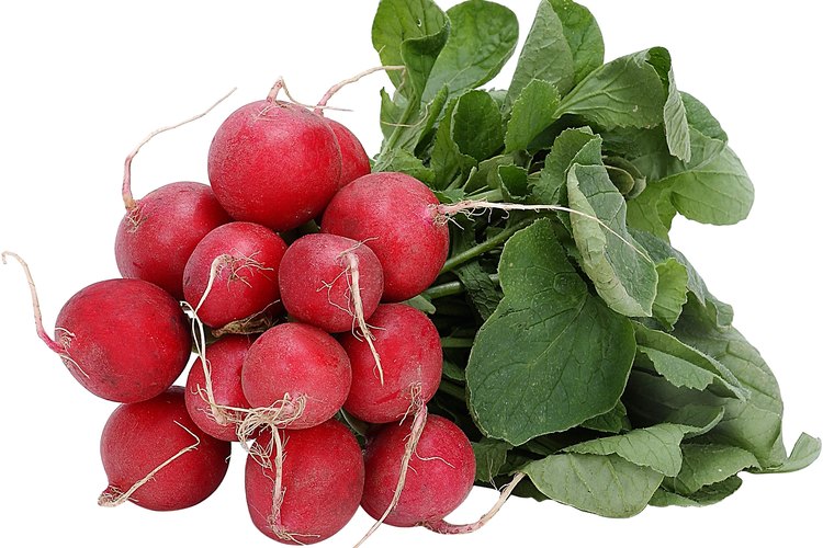 El rábano redondo rojo Cherry Belle es el más conocido por los jardineros.