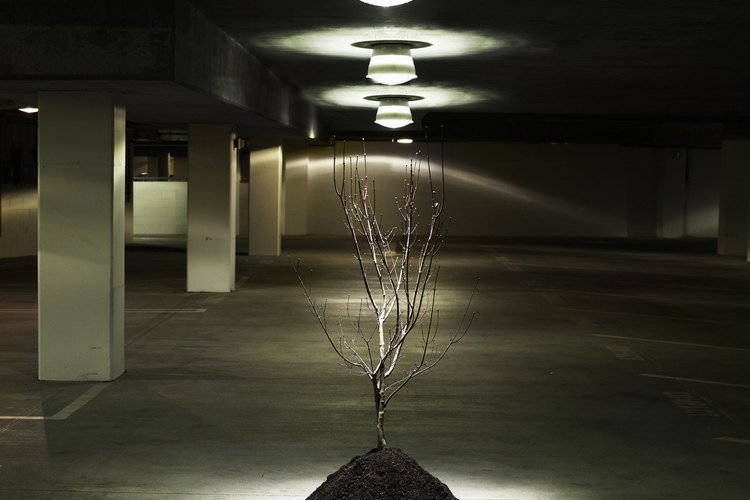 Antes de instalar una nueva lámpara de techo, necesitas asegurarte de que el suministro eléctrico este apagado