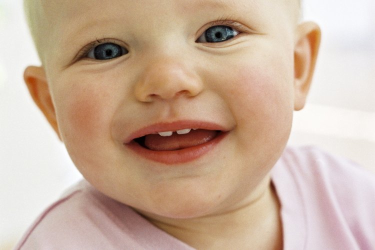 Los dientes de los bebés empiezan a crecer durante su primer año.