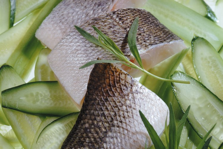 Su dieta consiste principalmente de peces más pequeños, pero las truchas son conocidas por comer ranas, pájaros y ratones.