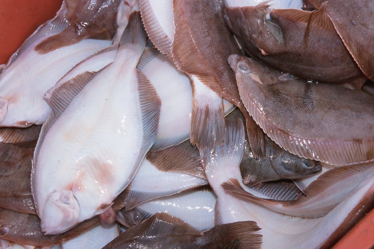 La platija es un pescado versátil que se puede preparar en varias formas.