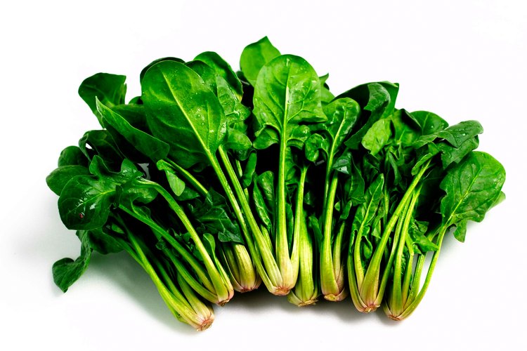 La espinaca, especialmente la verde frondosa, también crece en recipientes llenados con limo o compostaje fértil.