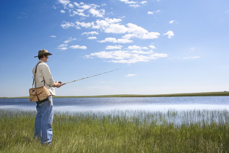 Una licencia no es requerida si eres menor de 16 años o si pescas en estanques o propiedad privada