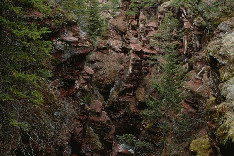 Desde el campamento Johnston Canyon se puede acceder por un sendero al cercano cañón del mismo nombre.