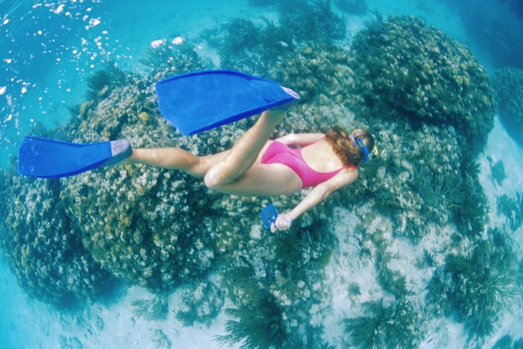 Con el buceo libre puedes explorar el mundo submarino, mientras aguantas la respiración.