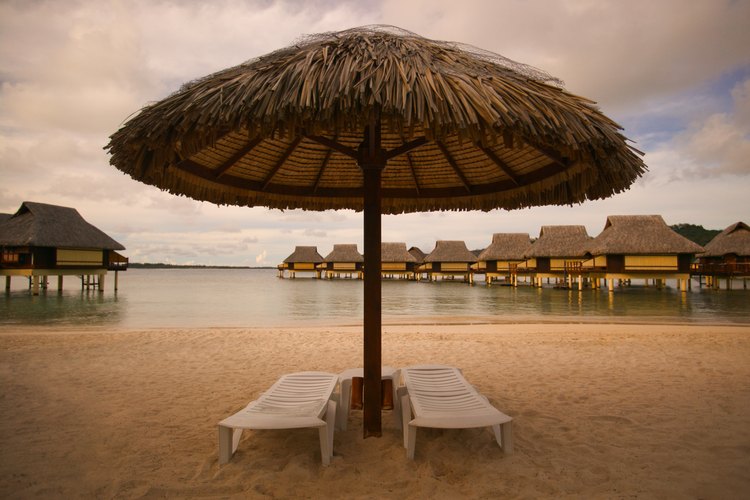 Cómo construir una palapa.
