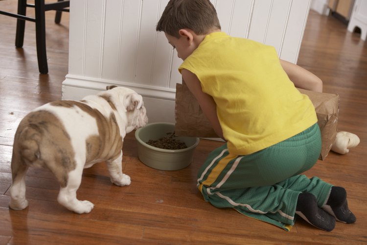 Niño alimentando a un perro.