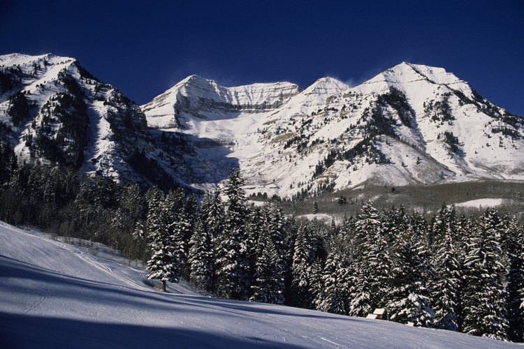 Wasatch Mountain State Park provee la oportunidad de manejar y acampar todo el año.