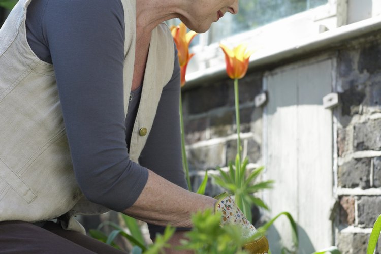 Prepara tu jardín para la primavera.