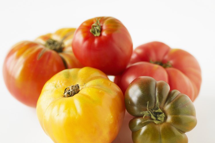 El riego insuficiente o excesivo puede provocar que la planta de tomate se marchite y se muera.