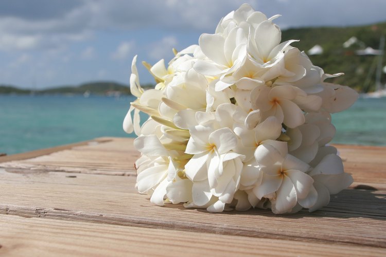 Un ramo de novia tropical hecho de frangipani.