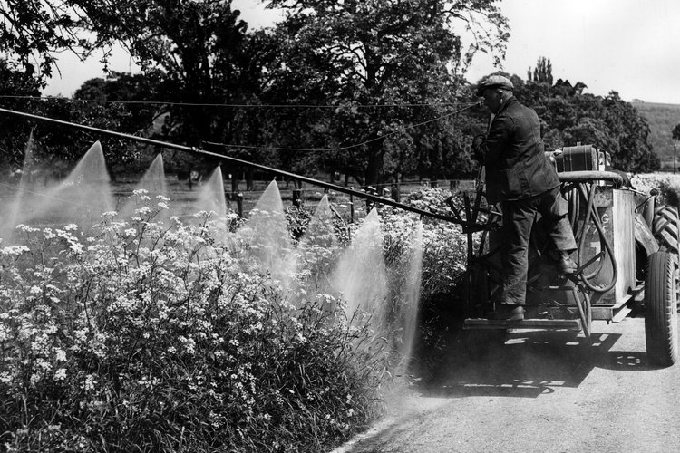Las triazinas han sido ampliamente utilizadas desde la década de 1950.