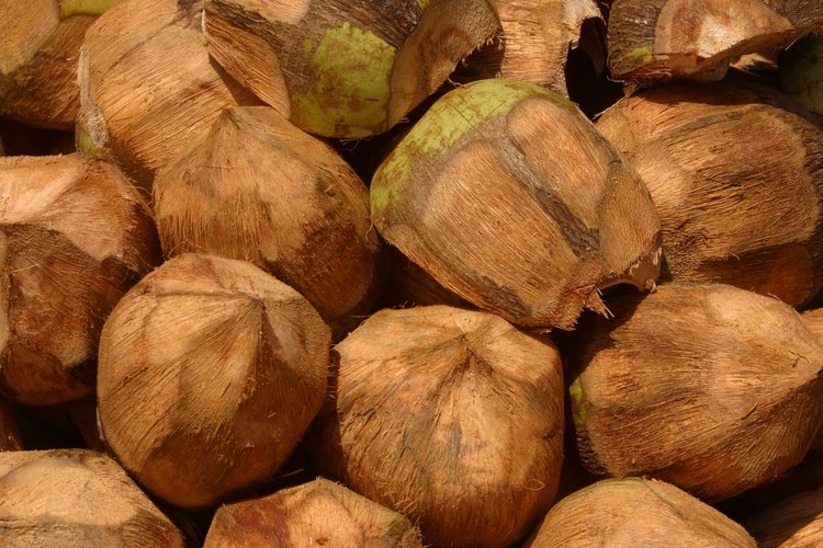 Cocos.