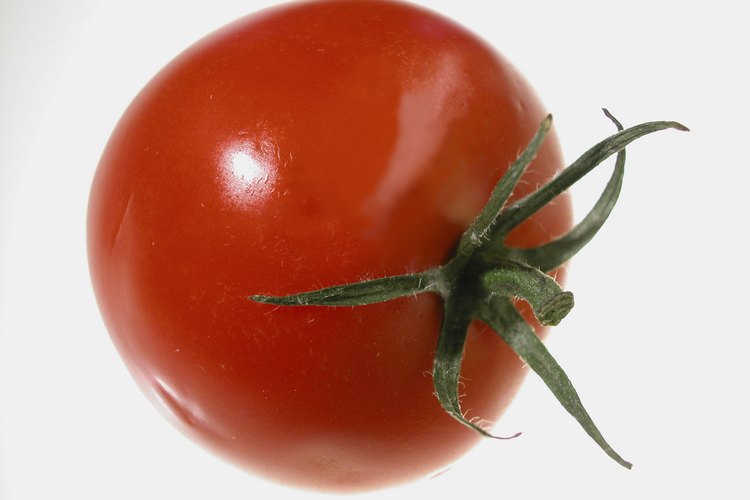 La germinación de semillas de tomate comienza cuando estas alcanzan un nivel de humedad de 30%.