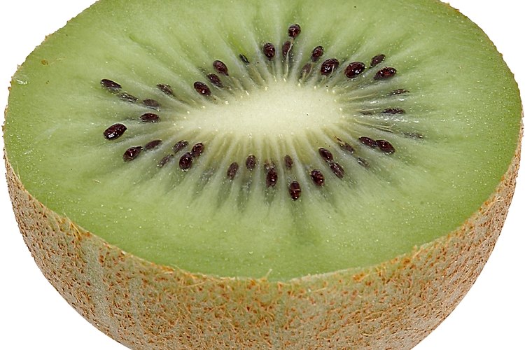 El kiwi puede ser injertado de diferentes maneras. Aquí te detallamos las maneras más empleadas.