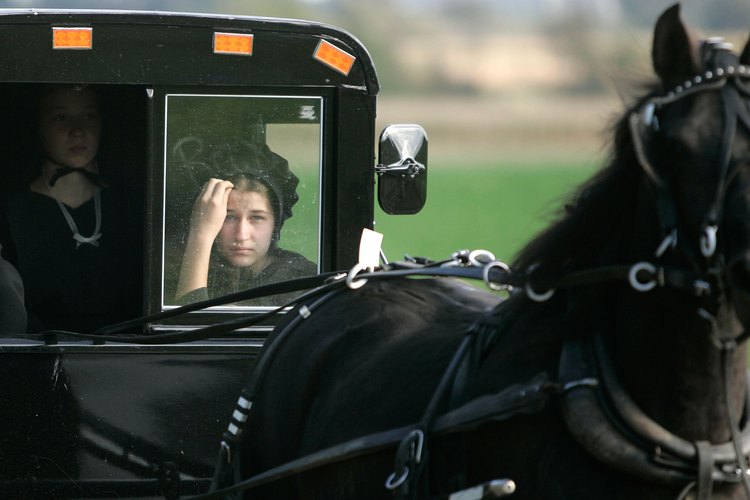 Los adolescentes amish tienen la oportunidad de experimentar actividades del